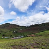 10ha có đủ vườn, ao, chuồng thích hợp cải tạo làm farm tại Mộc Châu